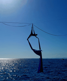 342380684_1594154647760607_7517330501920124406_n